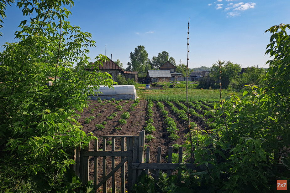 Лето 2023 года началось с жары — огородам нужен хороший полив. Фото «7х7»