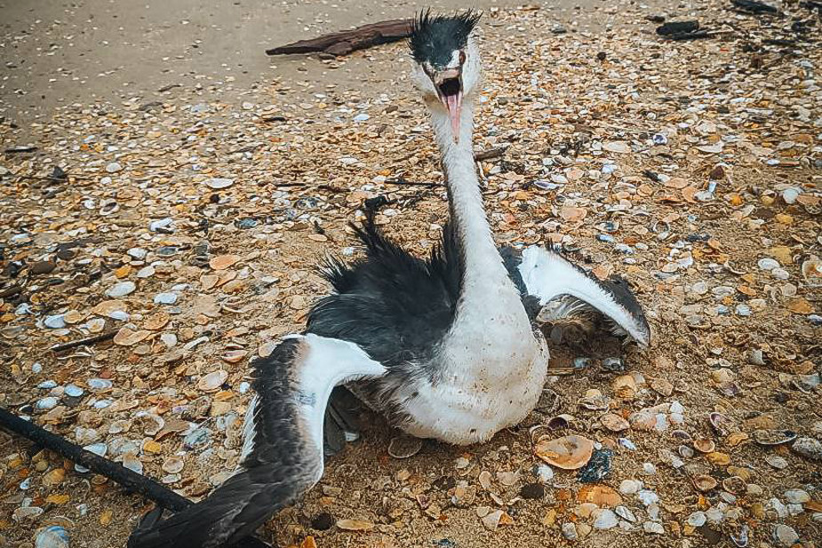 Последствия загрязнений в Краснодарском крае