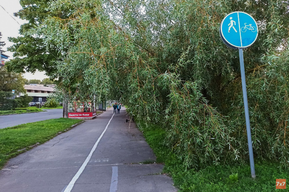 Велодорожка в Петрозаводске