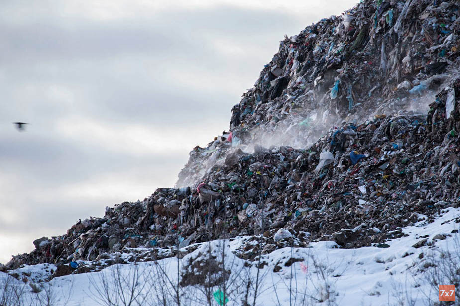 Свалка в Александрове
