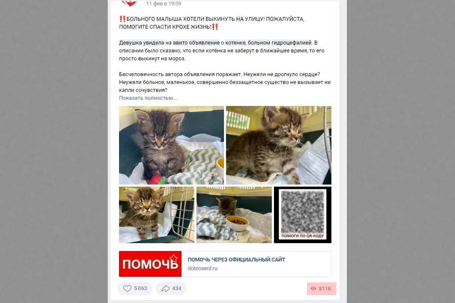 Скриншоты из паблика фонда