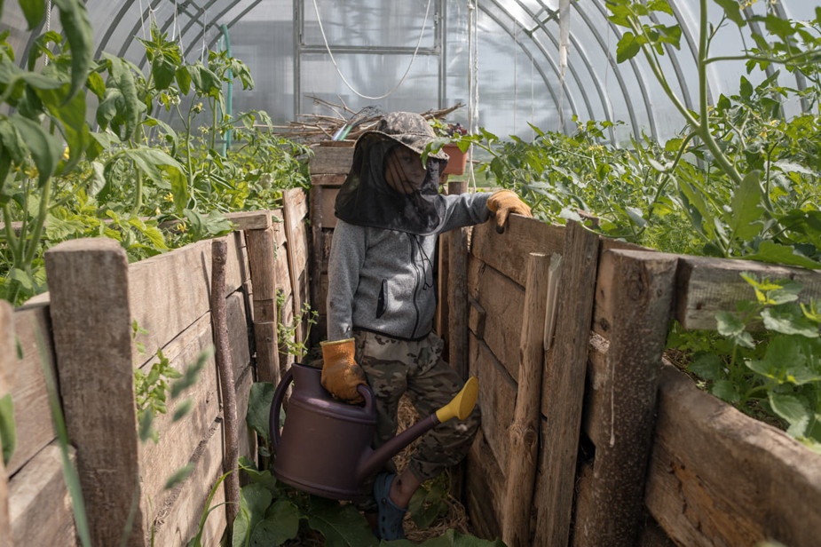 Митя тоже помогает маме и сестрам в теплицах — поливает помидоры