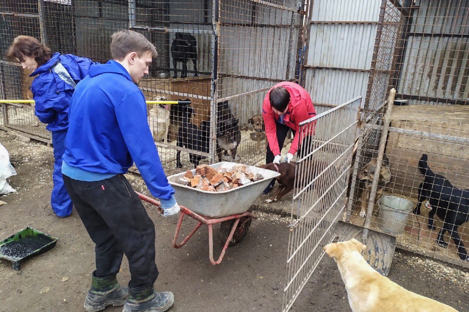 Волонтеры в приюте