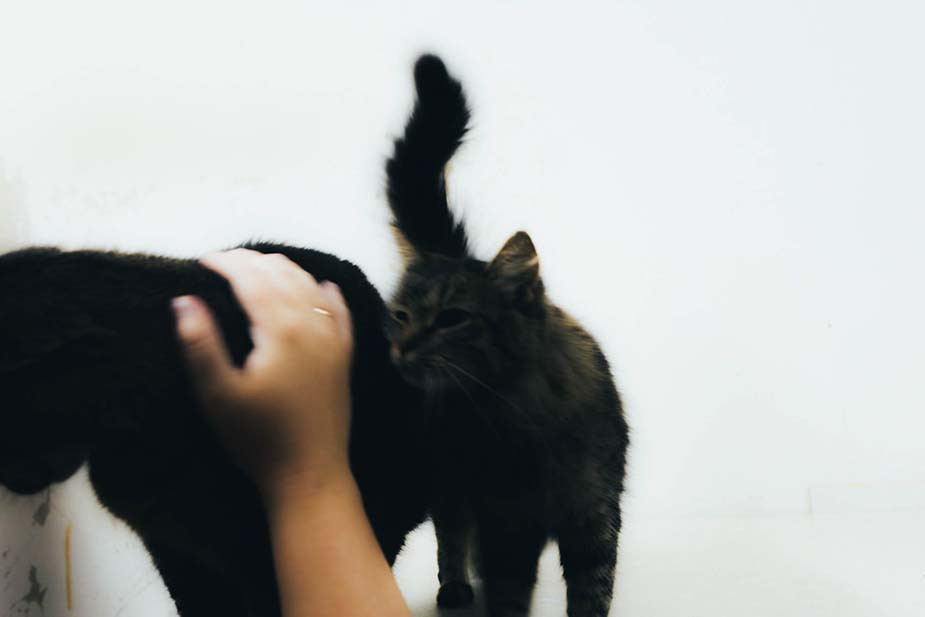 Фото Владимира Аверина для «Новой вкладки»