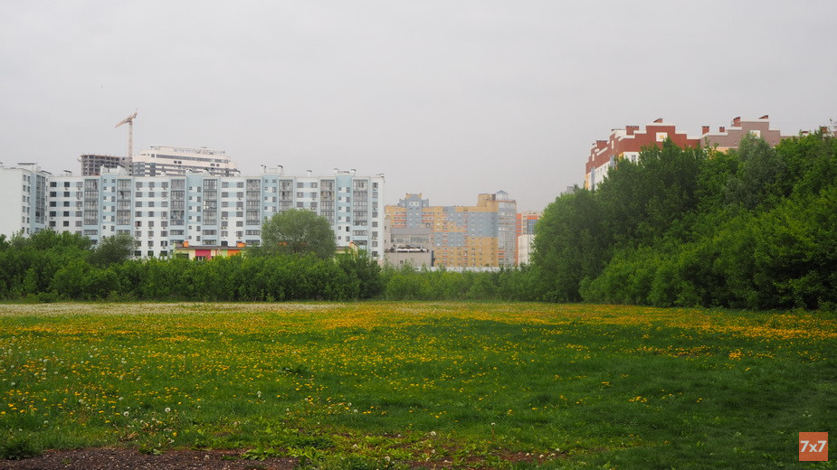 Поле для стрельбы из лука