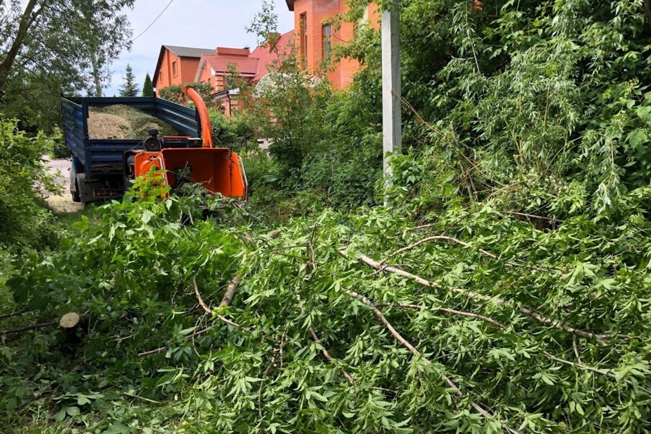 %D0%92%D1%8B%D1%80%D1%83%D0%B1%D0%BA%D0%B0%20%D0%B4%D0%B5%D1%80%D0%B5%D0%B2%D1%8C%D0%B5%D0%B2%20%D0%BD%D0%B0%20%D0%B1%D0%B5%D1%80%D0%B5%D0%B3%D1%83%20%D0%BF%D1%80%D1%83%D0%B4%D0%B0%20%D0%BD%D0%B0%20%D1%83%D0%BB%D0%B8%D1%86%D0%B5%20%D0%A1%D0%B2%D0%B5%D1%82%D0%BB%D0%B0%D1%8F.%20%D0%A4%D0%BE%D1%82%D0%BE%20%D0%95%D0%BA%D0%B0%D1%82%D0%B5%D1%80%D0%B8%D0%BD%D1%8B%20%D0%98%D0%B2%D0%B0%D1%89%D0%B5%D0%BD%D0%BA%D0%BE%D0%B2%D0%BE%D0%B9