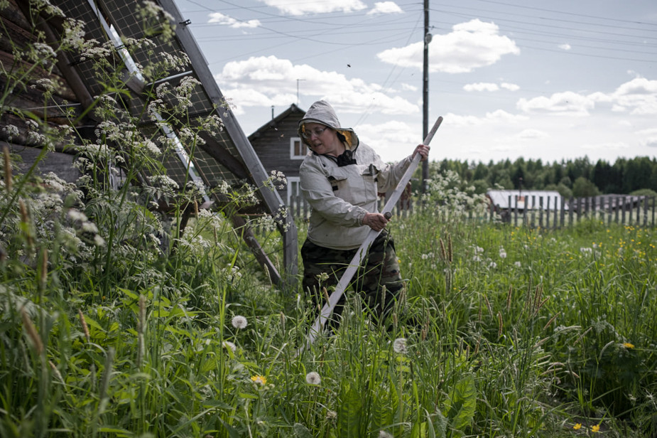 Елена совмещает преподавание с работой по хозяйству