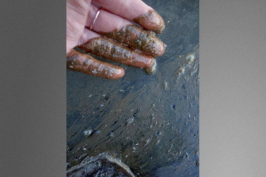 Photo by Maria Ermolina 