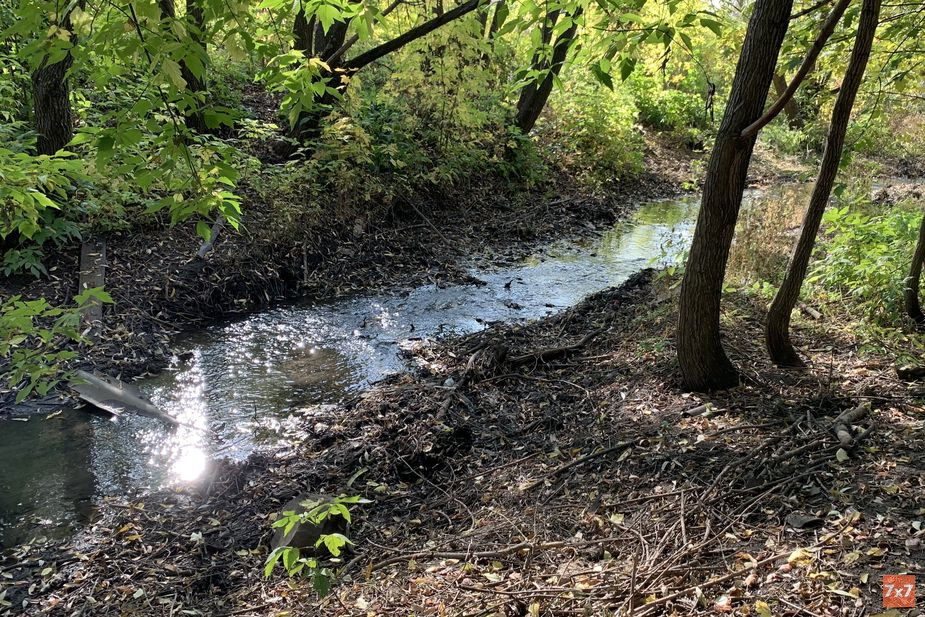Расчищенный и благоустроенный берег Саранки