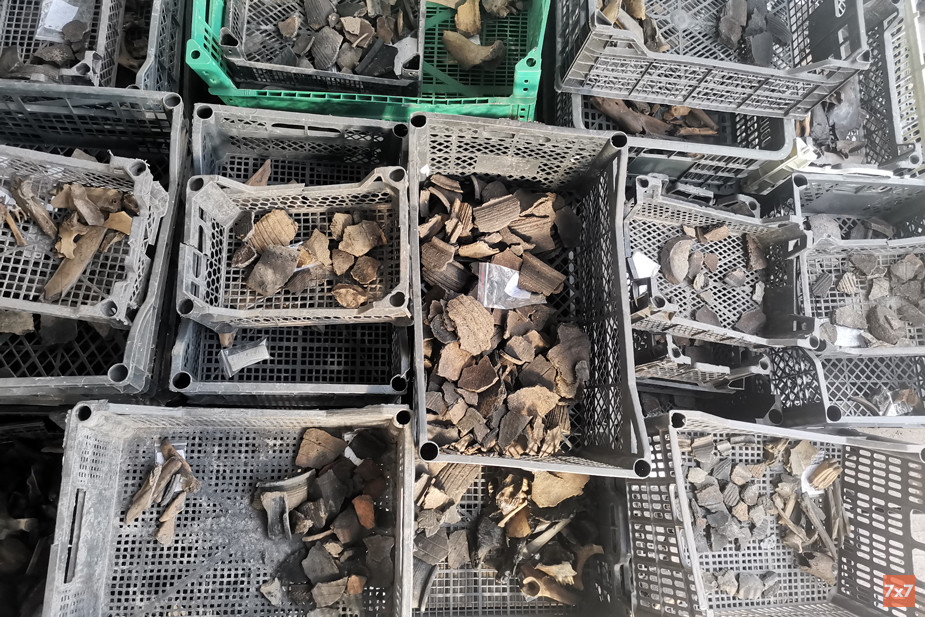 Вымытые в камералке находки. Фото: «7х7»