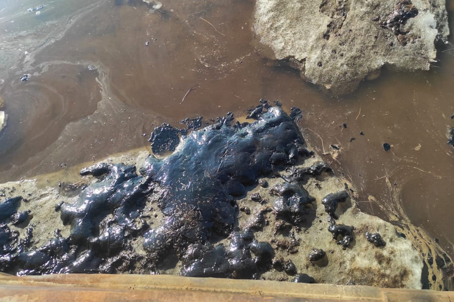 Фото Олеси Данцевич