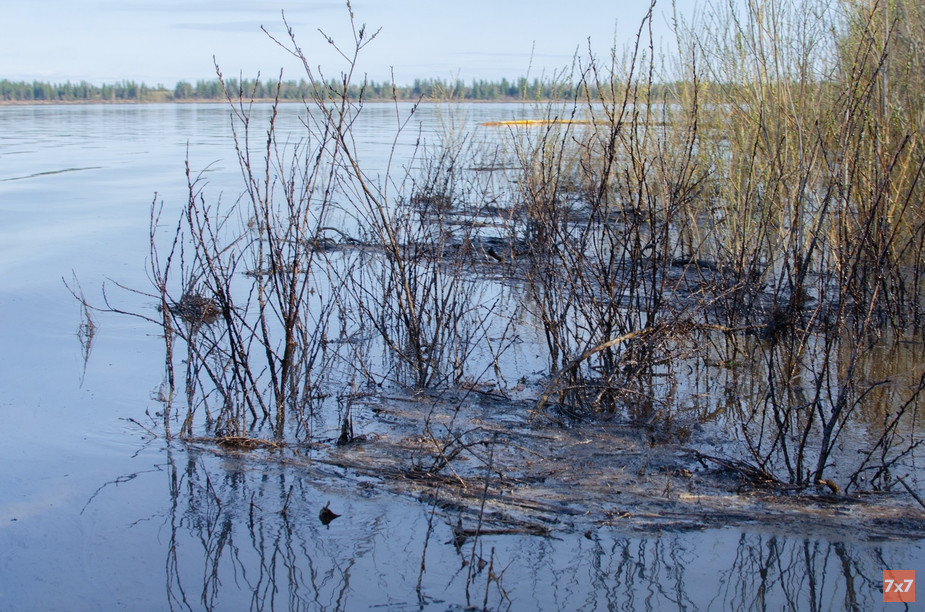 Нефтеразлив на реке Колве