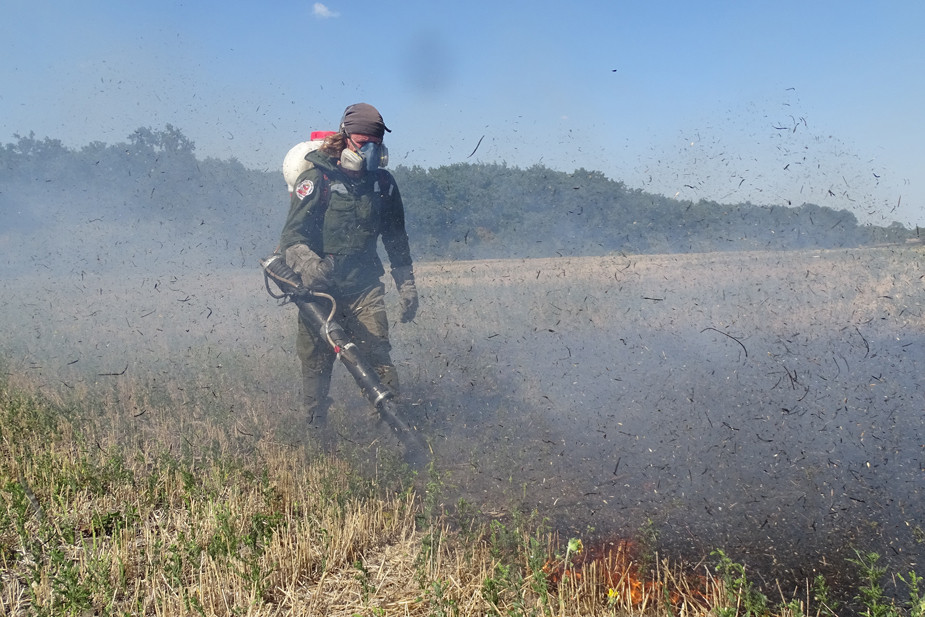 Павел Суганеев — один из последних оставшихся волонтеров группы «Добровольные пожарные Кубани» — тушит пшеничную стерню в Адыгее в 2024 году
