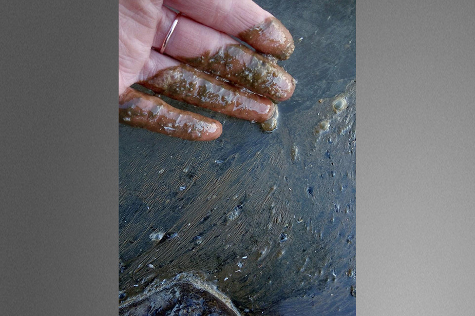 Фото Марии Ермолиной