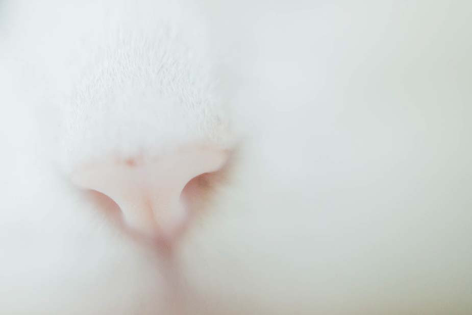 Фото Владимира Аверина для «Новой вкладки»