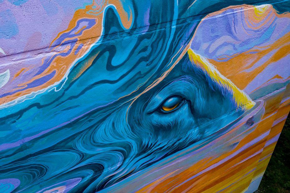 Photo by Igor Frolov