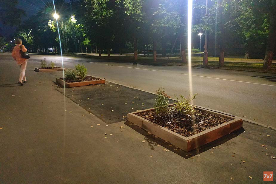 Клумбы с многолетниками на месте вырубленных деревьев. Фото из группы «Деревья Великого Новгорода»