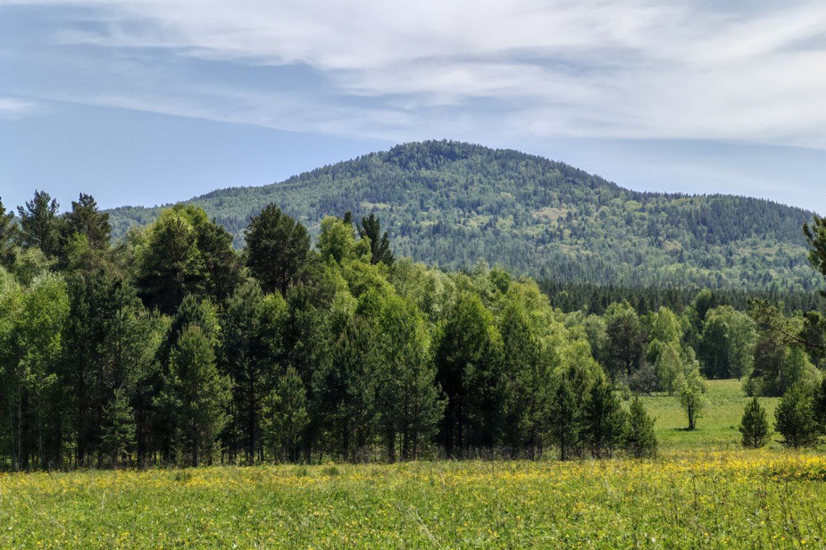 Хребет Крыктытау. Фото: @kyrktytau2025 / Telegram