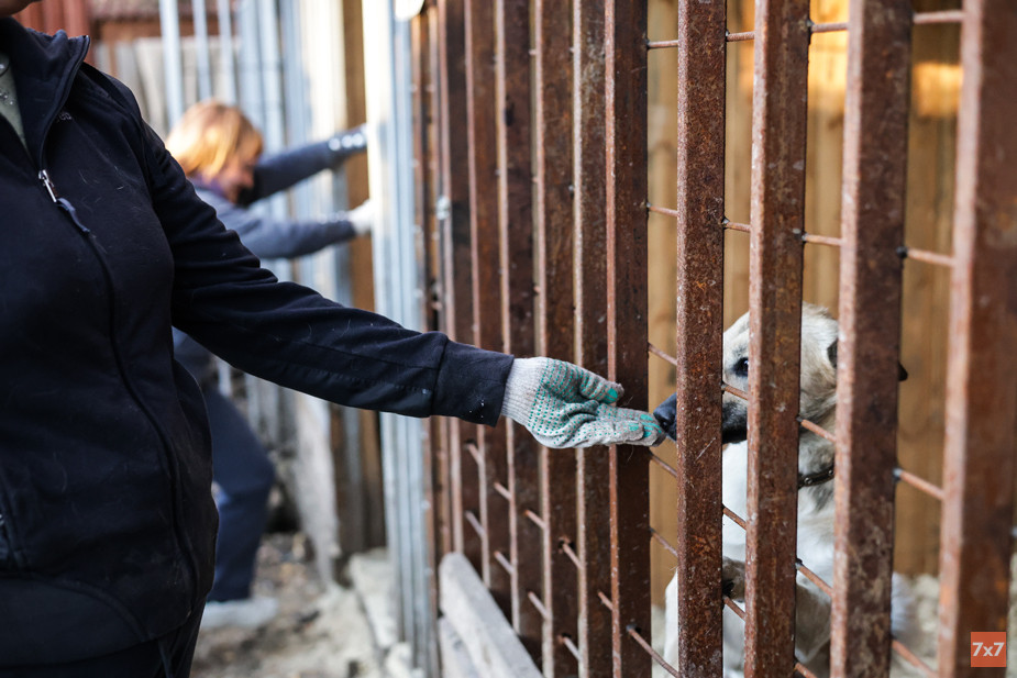 Варвара и Светлана открывают вольеры собак