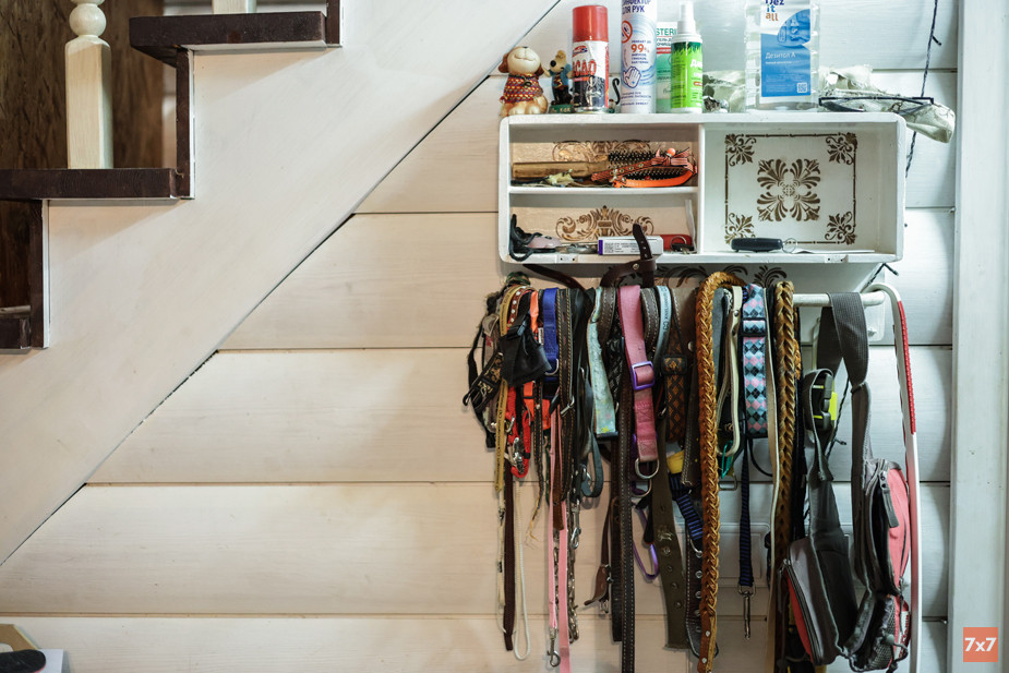 В коридоре Ирины висят десятки собачьих поводков. Их берут волонтеры, когда идут выгуливать собак