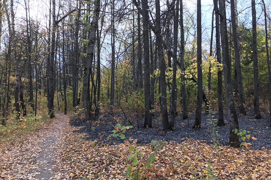 %D0%A2%D0%B0%D0%BA%20%D0%B2%D1%8B%D0%B3%D0%BB%D1%8F%D0%B4%D0%B5%D0%BB%20%D0%BF%D0%B0%D1%80%D0%BA%207%20%D0%BE%D0%BA%D1%82%D1%8F%D0%B1%D1%80%D1%8F%20%D0%BF%D0%BE%D1%81%D0%BB%D0%B5%20%D0%B3%D0%BE%D1%80%D0%B5%D0%BD%D0%B8%D1%8F.%20%D0%A4%D0%BE%D1%82%D0%BE%3A%20vk.com%2Fcives.orel