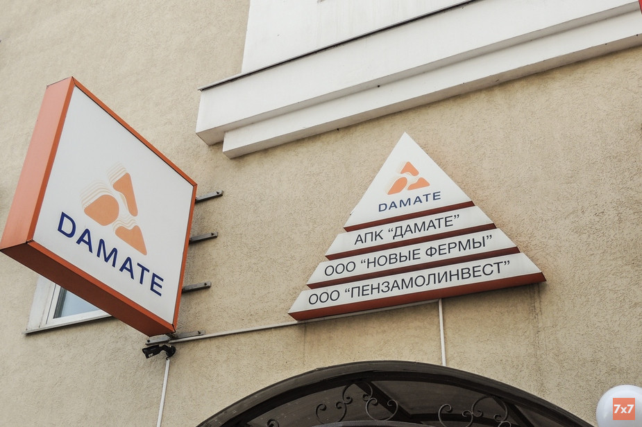 Пикет Людмилы Ковлягиной у пензенского офиса «Дамате»