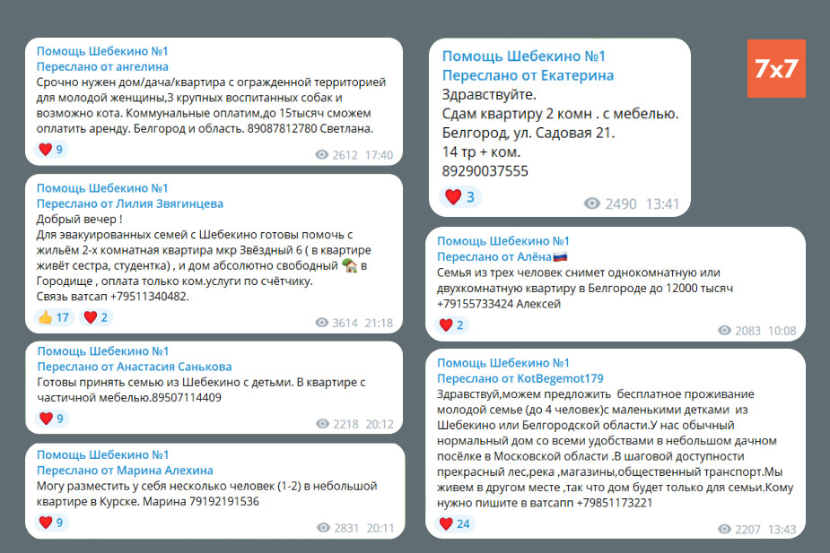 Скриншоты из чата помощи шебекинцам