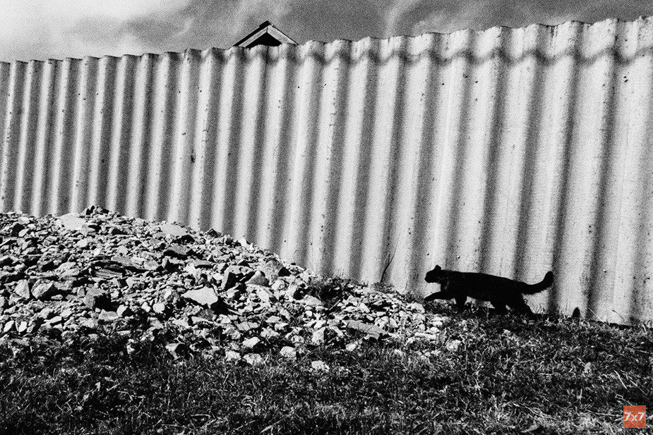 Деревня Задние Карыки