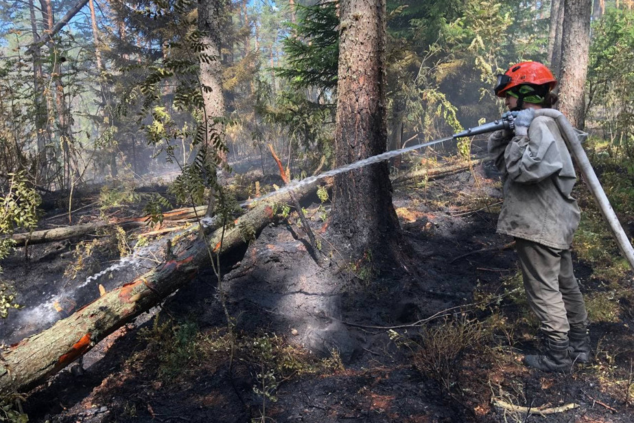 Тушение пожара на Ладожских шхерах. Фото Общества добровольных лесных пожарных
