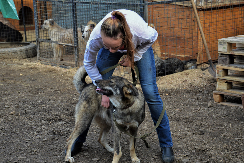 Волонтер в приюте