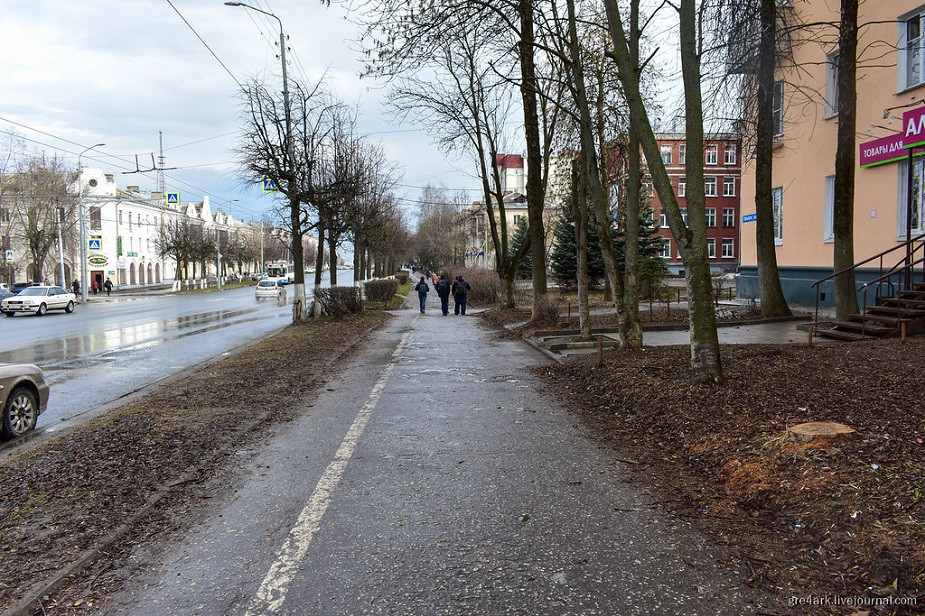 Кусты и газон вместо забора во Владимире