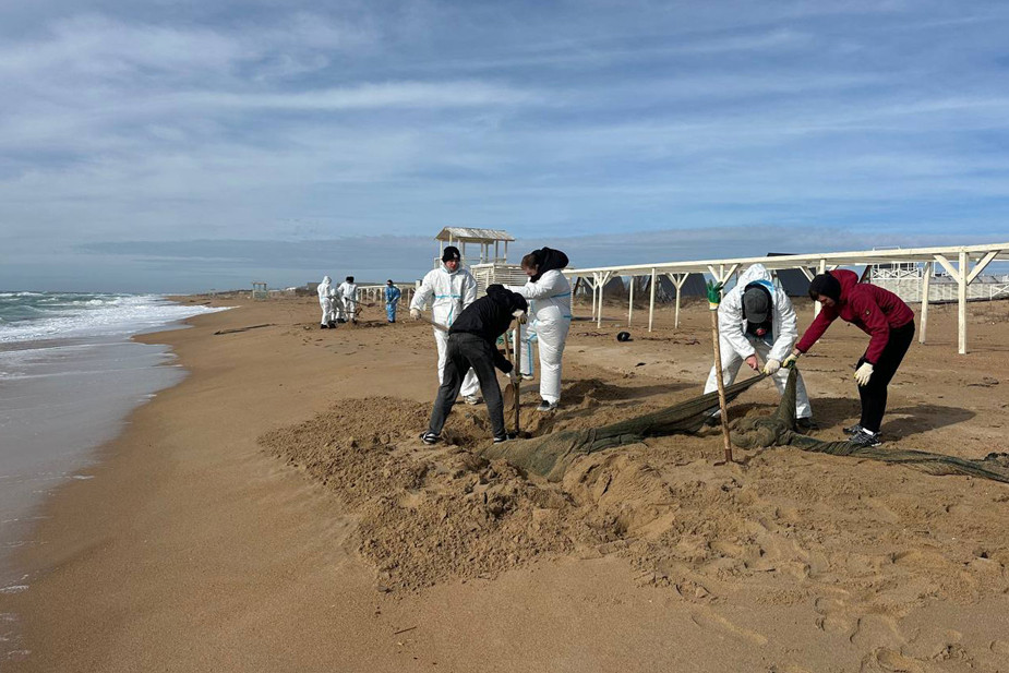 Последствия загрязнений в Краснодарском крае