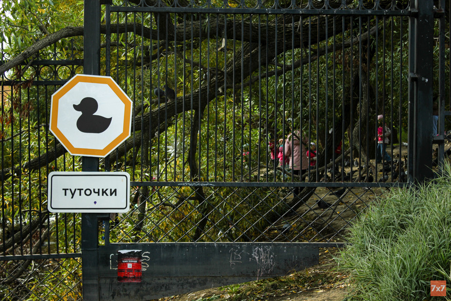 Дендрологический парк. Фото для «7х7»