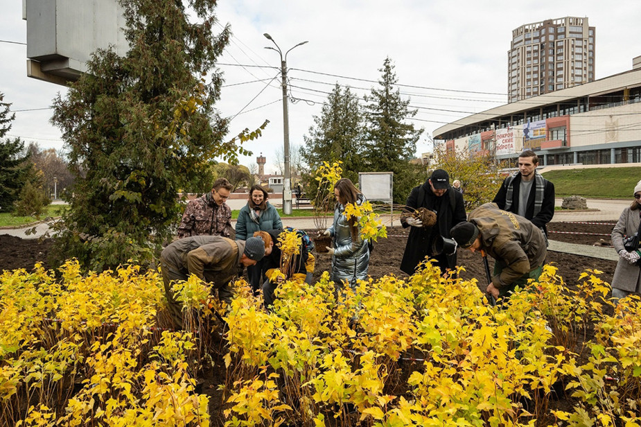 Волонтеры фонда высаживают растения