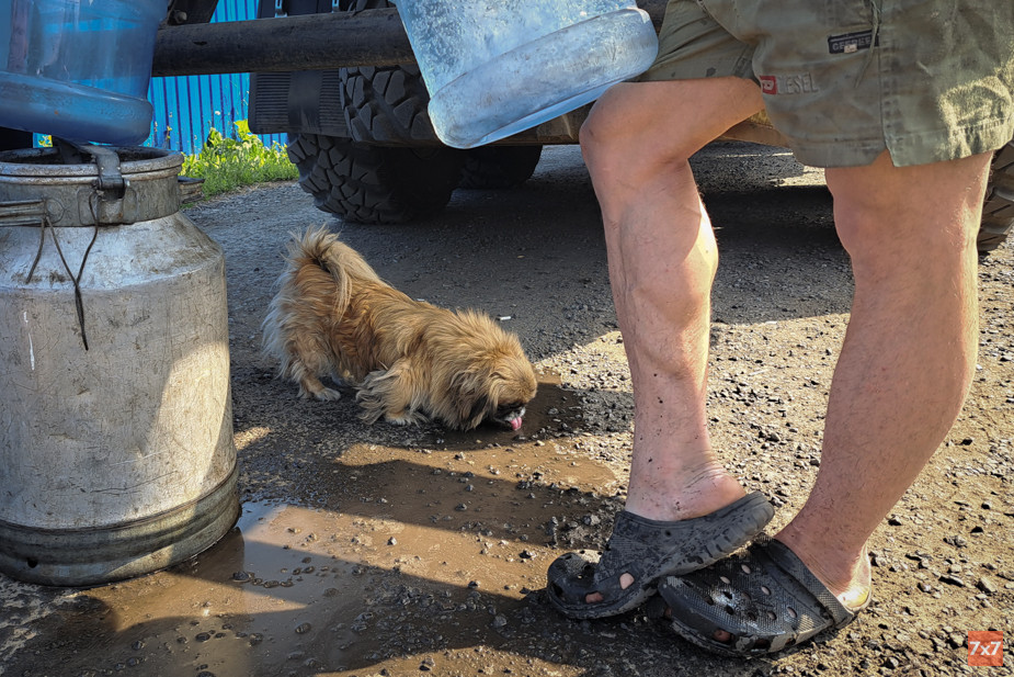 Чистую воду в Улусе ждут как люди, так и животные
