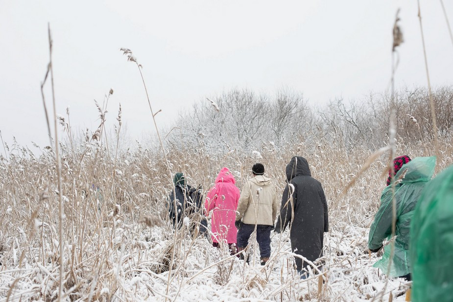 Волонтеры гуляют по Крохино