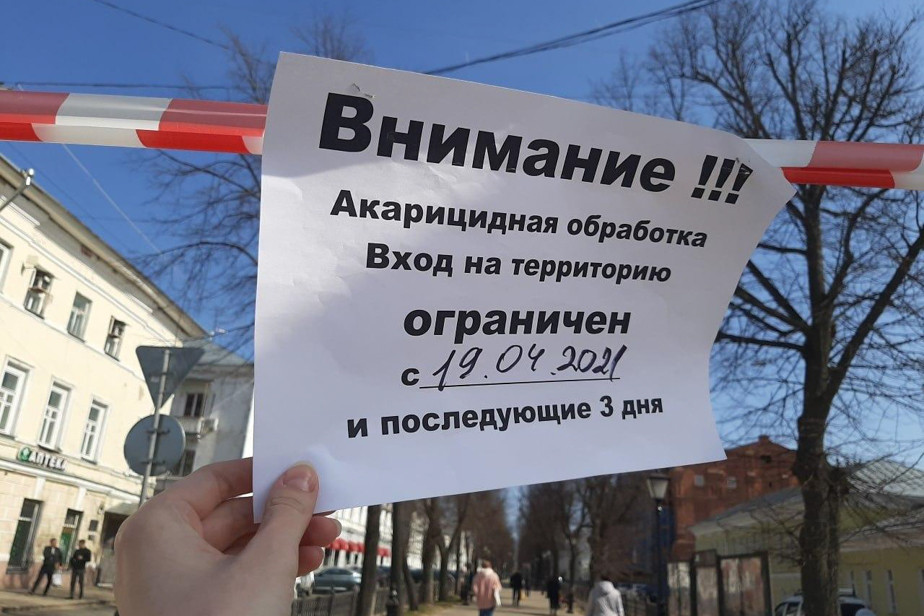 Обработка парков и площадей от клещей в Костроме