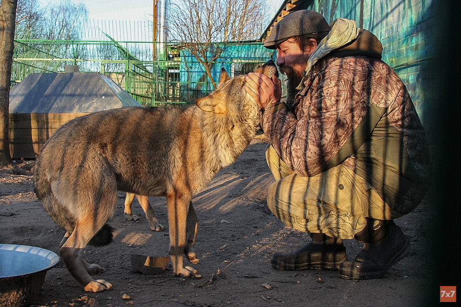 Дмитрий Самойлов с волком. Фото Алёны Хлимановой