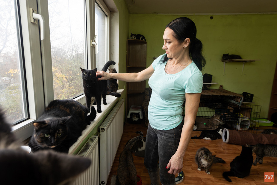 Мила с кошками в приюте