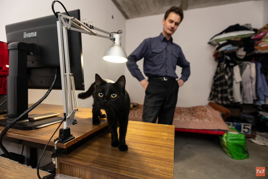 Кошка Лиза, которую Виктор нашел на территории аэропорта «Храброво»