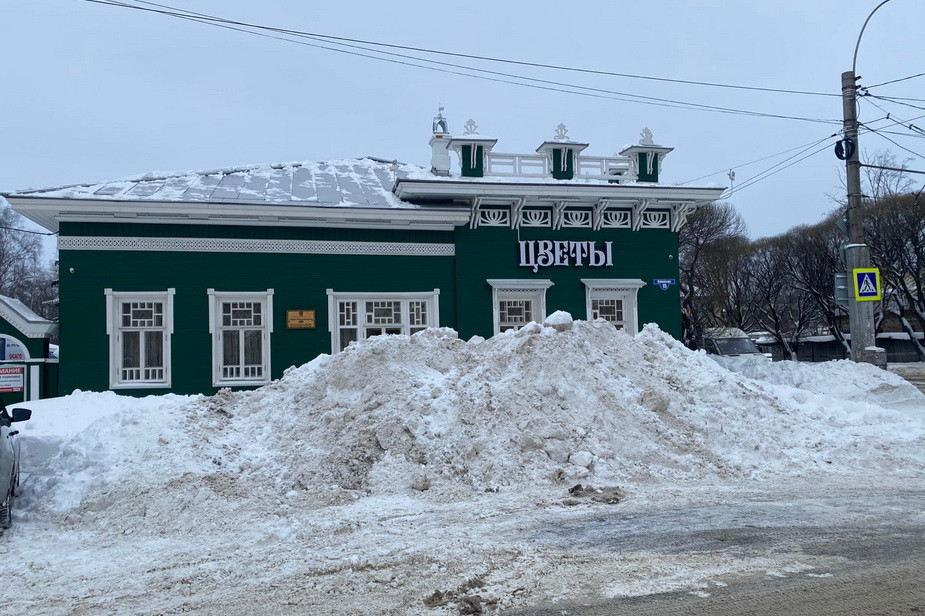Возле магазина 'Цветы' на улице Чернышевского в Вологде. Фото Ларисы Якимовой