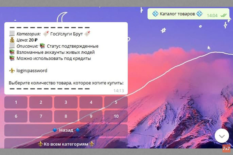 Скриншот аккаунта одного из продавцов данных с «Госуслуг» в Telegram