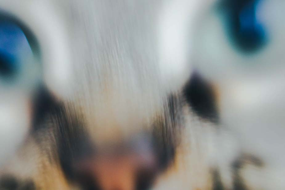 Фото Владимира Аверина для «Новой вкладки»