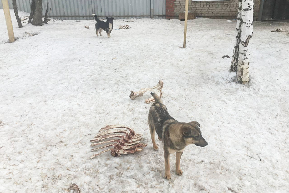 Фото Игоря Рогова