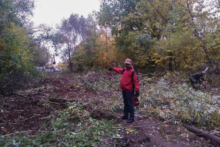 Участок, на котором вырубили деревья, для прокладывания дороги