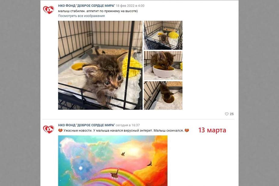 Скриншоты из паблика фонда