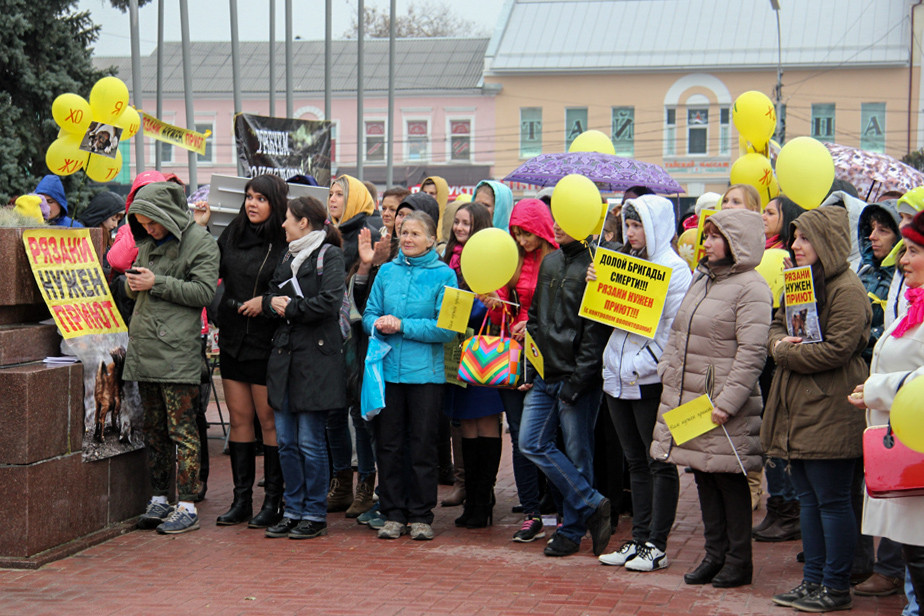 Митинг за создание приюта, 2015 год