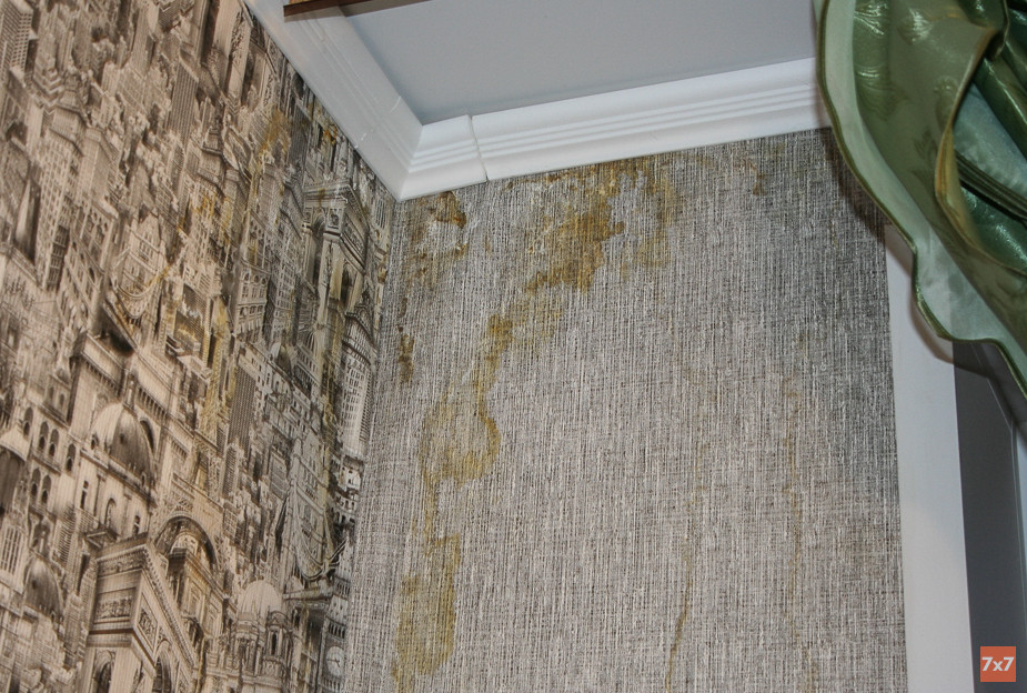 Юлиана Кафидова из дома №7 подбирает обои под цвет плесени