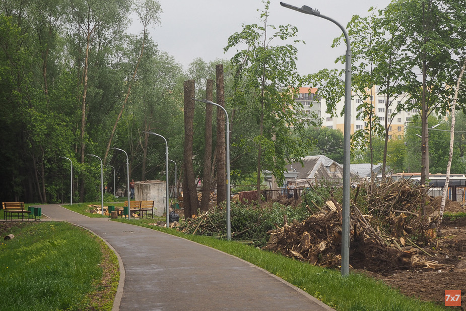 Благоустройство парка
