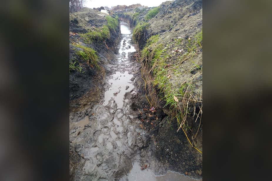 Фото предоставлено «7х7»